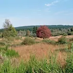 Zimmermanns 3
